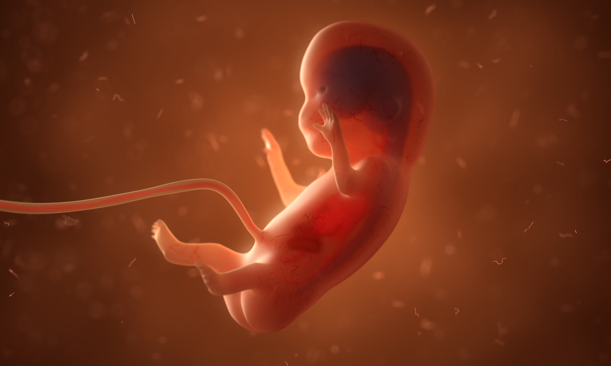 The Hijacking Of Science And The Abortion