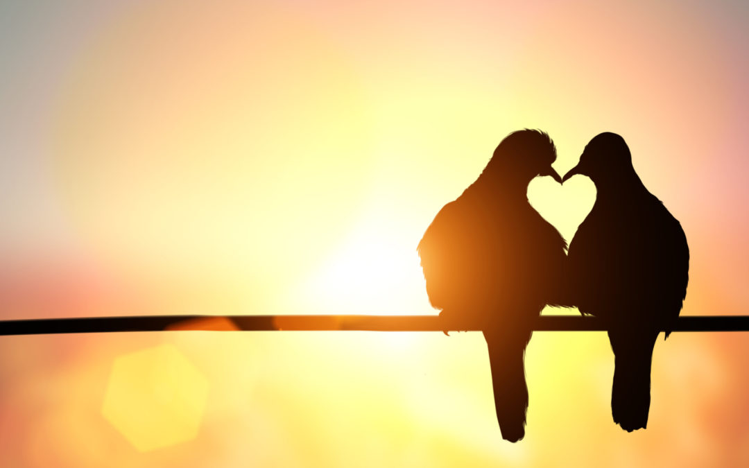 Love Is . . .