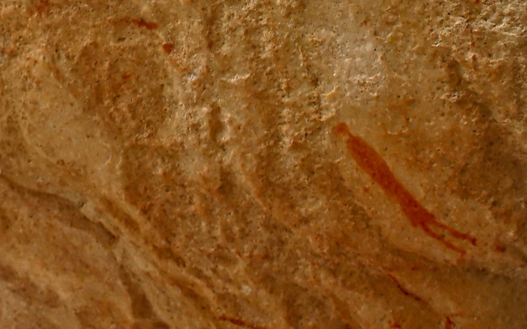 The First Human Drawing?