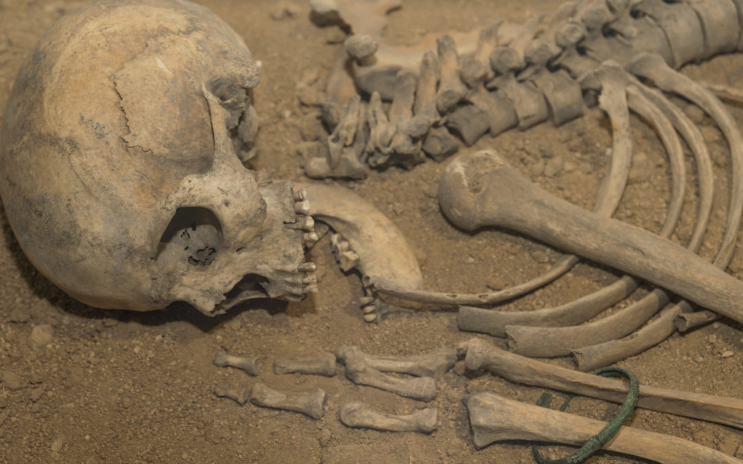 Neanderthal Hybrid Found