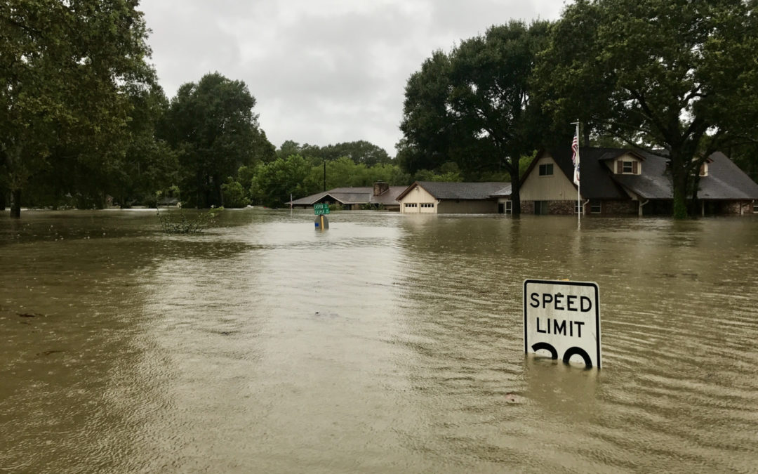 Facing Down a Disaster