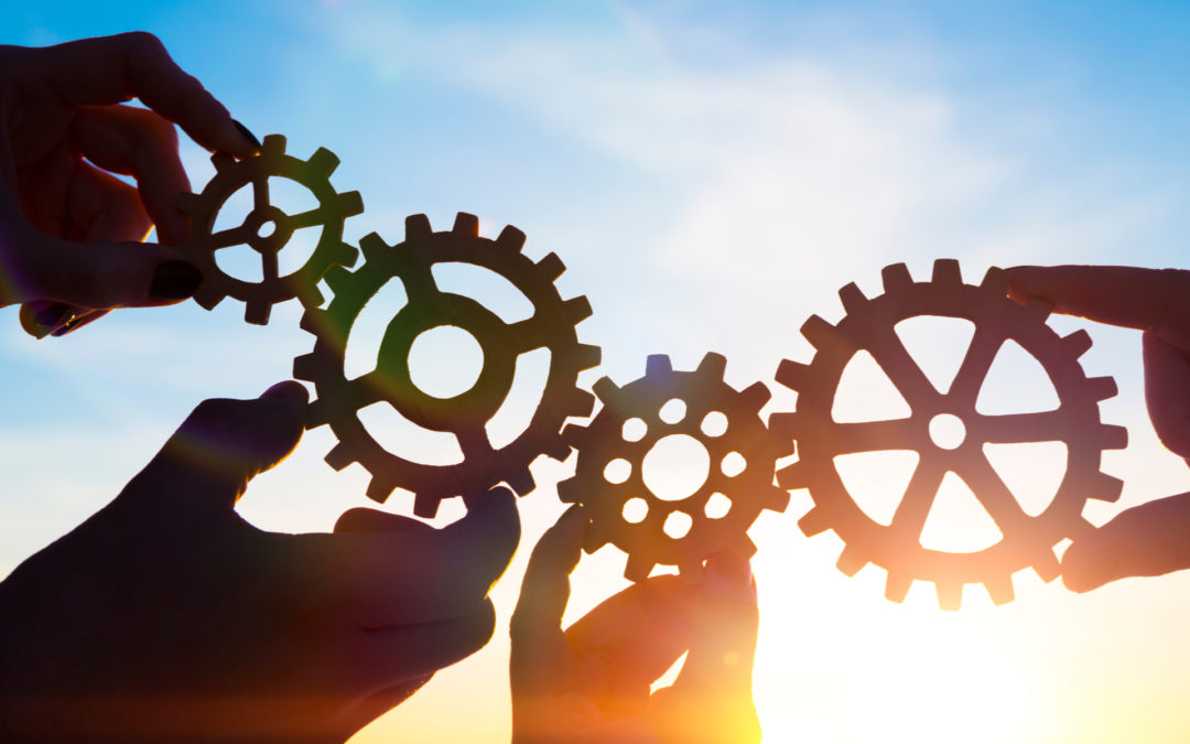 Why Cooperation Thrives