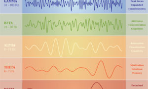 Brain Waves