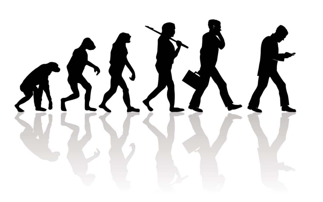 Evolutionary Roots of Irrationality