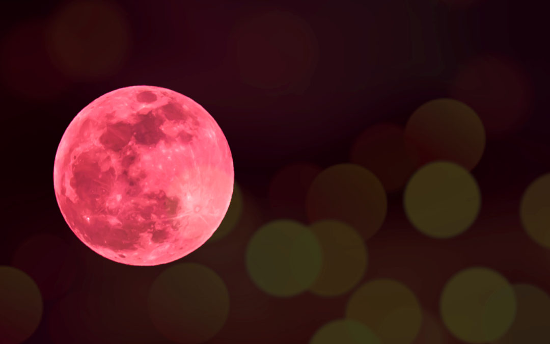 Best of the Blood Moon