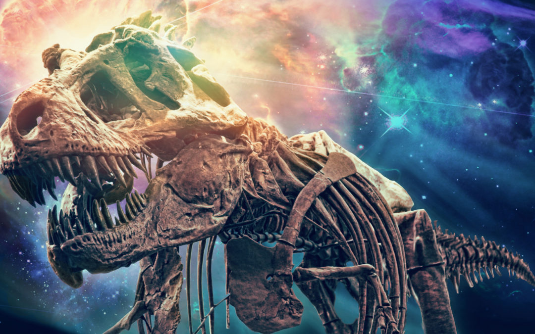 What We Get Wrong About the Evolution Debate