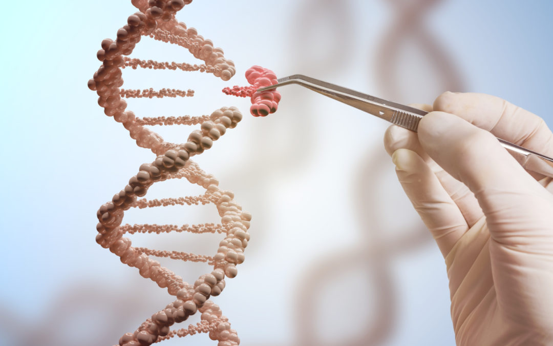 Christian Wisdom in the Biotech Age