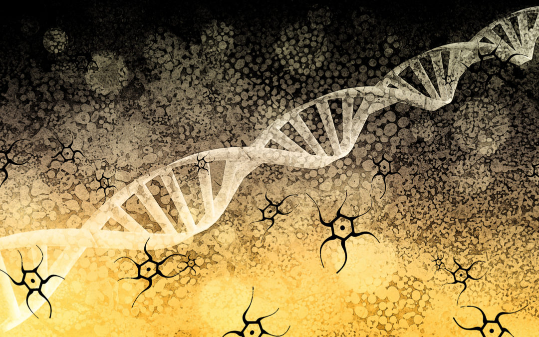 An Expanded Genetic Alphabet