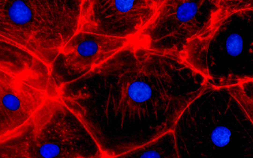 Confidence in CRISPR