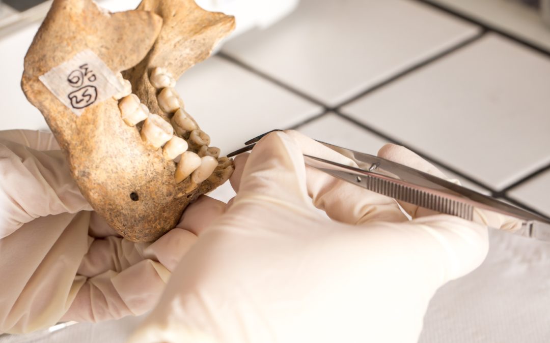 Unearthed by Proteins