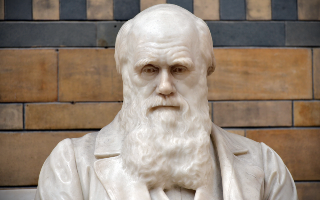 Did Science Change Darwin’s Brain?