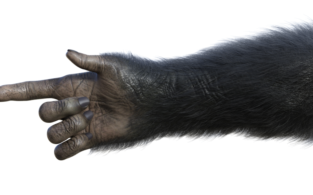 The Pointing Ape