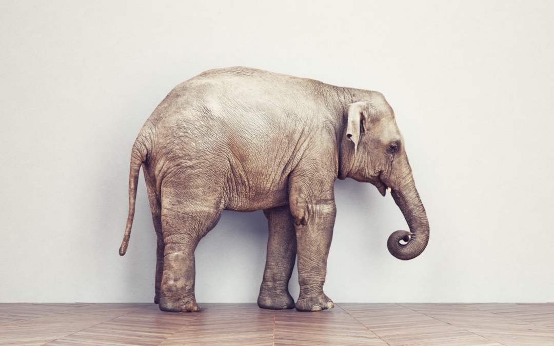 The Elephant in Biology’s Room